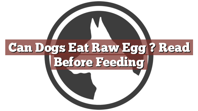 Can Dogs Eat Raw Egg ? Read Before Feeding