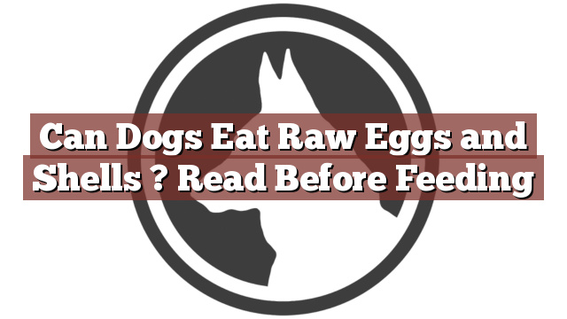 Can Dogs Eat Raw Eggs and Shells ? Read Before Feeding