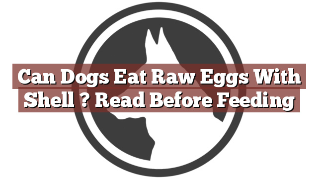 Can Dogs Eat Raw Eggs With Shell ? Read Before Feeding