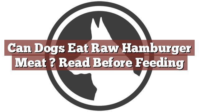 Can Dogs Eat Raw Hamburger Meat ? Read Before Feeding
