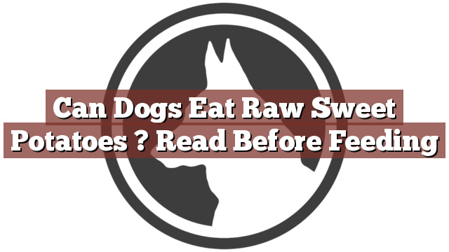Can Dogs Eat Raw Sweet Potatoes ? Read Before Feeding