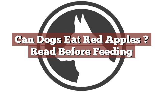 Can Dogs Eat Red Apples ? Read Before Feeding