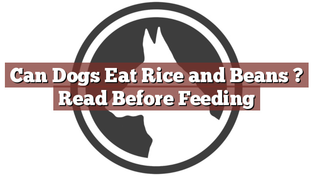Can Dogs Eat Rice and Beans ? Read Before Feeding