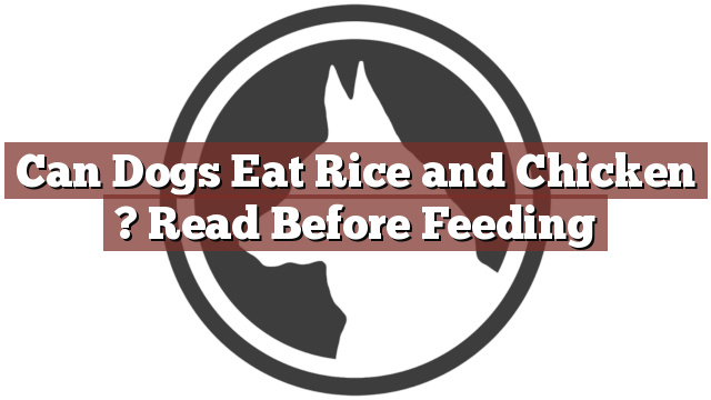 Can Dogs Eat Rice and Chicken ? Read Before Feeding