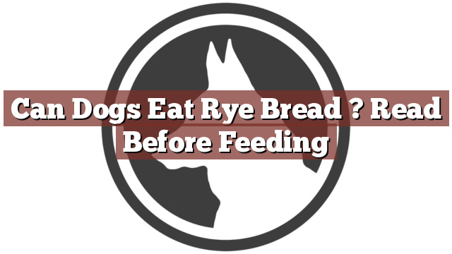 Can Dogs Eat Rye Bread ? Read Before Feeding