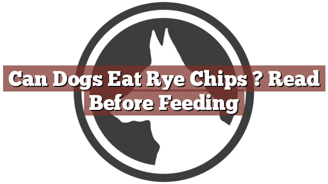 Can Dogs Eat Rye Chips ? Read Before Feeding