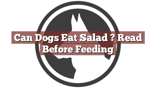 Can Dogs Eat Salad ? Read Before Feeding