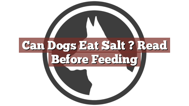 Can Dogs Eat Salt ? Read Before Feeding
