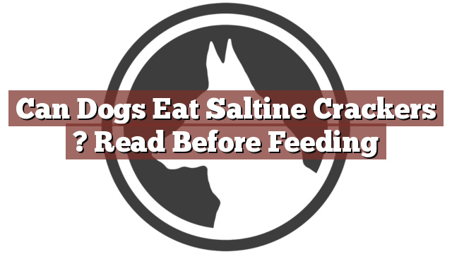 Can Dogs Eat Saltine Crackers ? Read Before Feeding