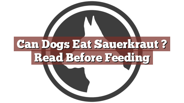 Can Dogs Eat Sauerkraut ? Read Before Feeding