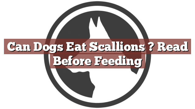 Can Dogs Eat Scallions ? Read Before Feeding