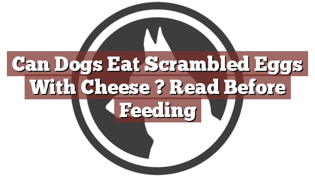 Can Dogs Eat Scrambled Eggs With Cheese ? Read Before Feeding