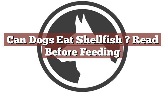 Can Dogs Eat Shellfish ? Read Before Feeding