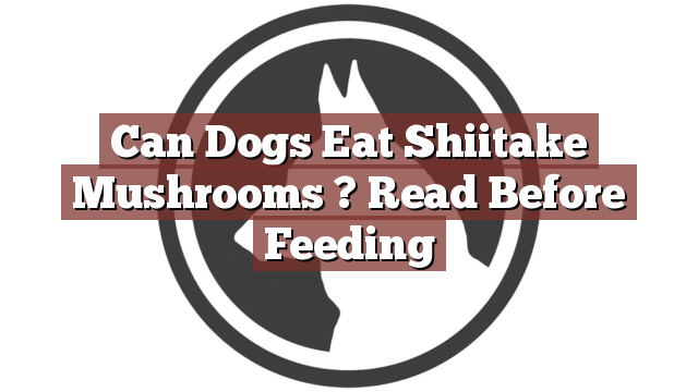 Can Dogs Eat Shiitake Mushrooms ? Read Before Feeding