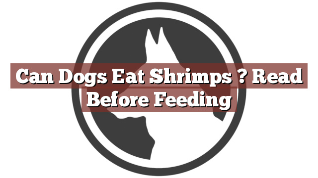 Can Dogs Eat Shrimps ? Read Before Feeding