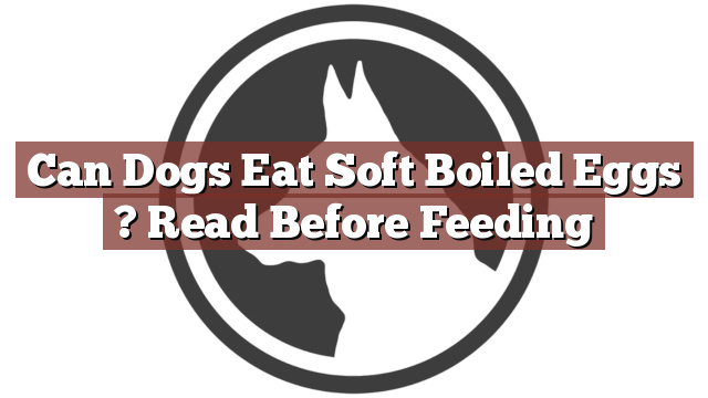 Can Dogs Eat Soft Boiled Eggs ? Read Before Feeding