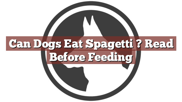 Can Dogs Eat Spagetti ? Read Before Feeding
