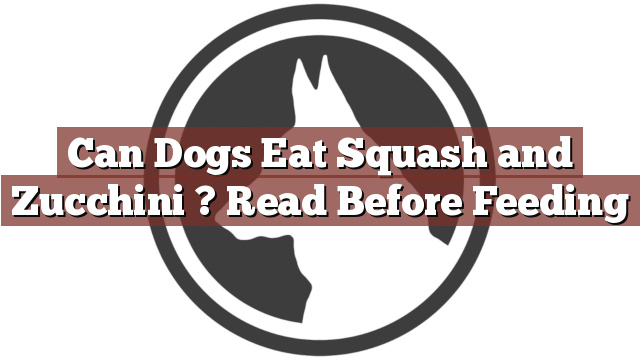 Can Dogs Eat Squash and Zucchini ? Read Before Feeding