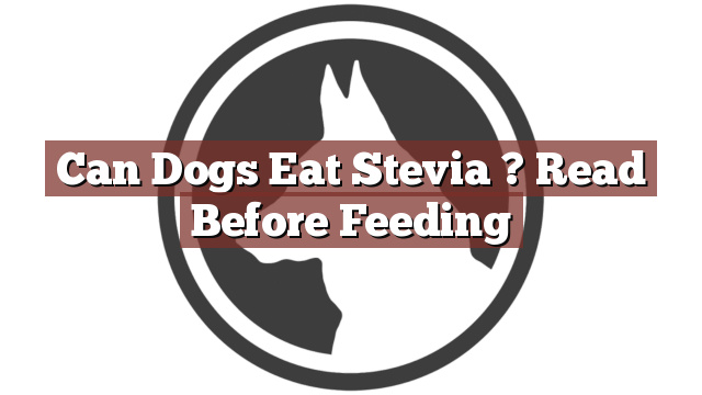 Can Dogs Eat Stevia ? Read Before Feeding