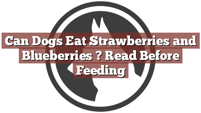 Can Dogs Eat Strawberries and Blueberries ? Read Before Feeding