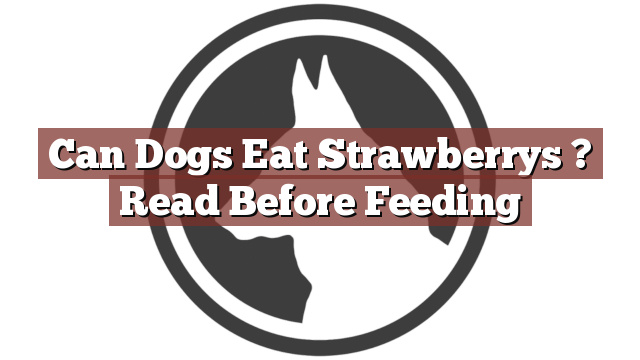 Can Dogs Eat Strawberrys ? Read Before Feeding