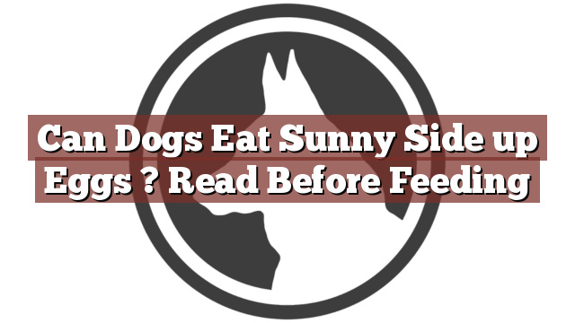 Can Dogs Eat Sunny Side up Eggs ? Read Before Feeding