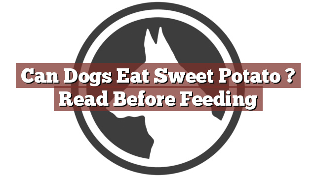 Can Dogs Eat Sweet Potato ? Read Before Feeding