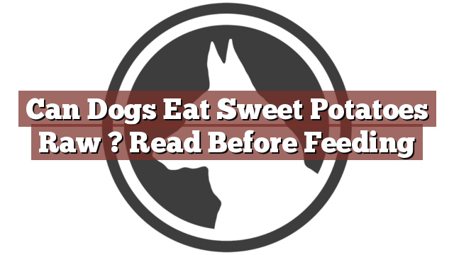 Can Dogs Eat Sweet Potatoes Raw ? Read Before Feeding