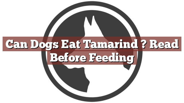 Can Dogs Eat Tamarind ? Read Before Feeding