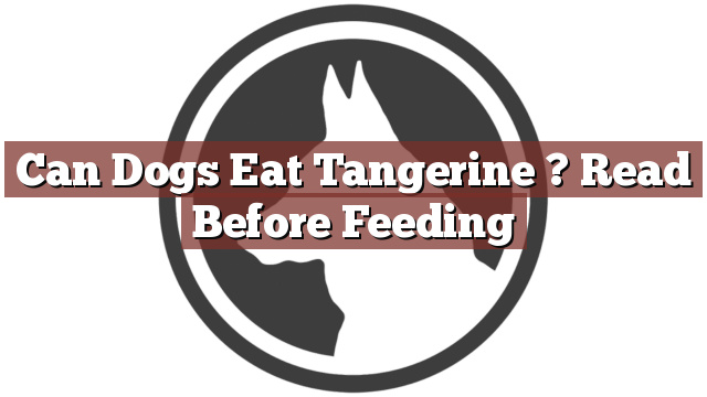 Can Dogs Eat Tangerine ? Read Before Feeding