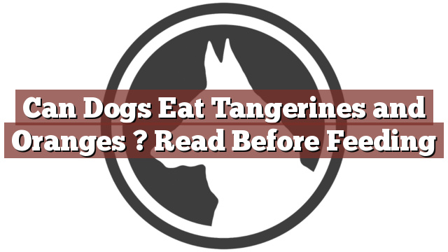 Can Dogs Eat Tangerines and Oranges ? Read Before Feeding