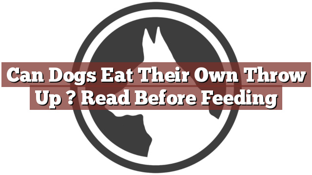 Can Dogs Eat Their Own Throw Up ? Read Before Feeding