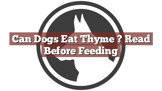Can Dogs Eat Thyme ? Read Before Feeding