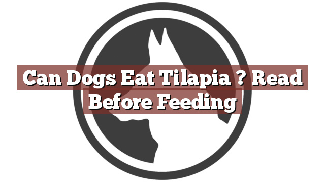 Can Dogs Eat Tilapia ? Read Before Feeding