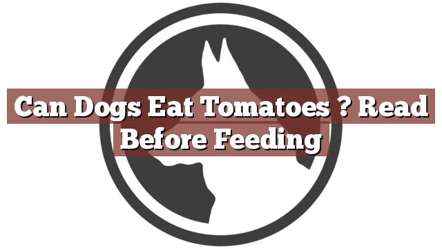 Can Dogs Eat Tomatoes ? Read Before Feeding