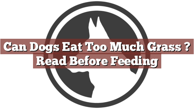 Can Dogs Eat Too Much Grass ? Read Before Feeding