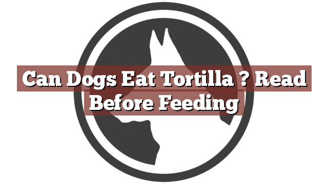 Can Dogs Eat Tortilla ? Read Before Feeding