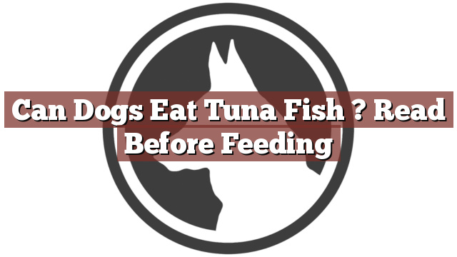 Can Dogs Eat Tuna Fish ? Read Before Feeding