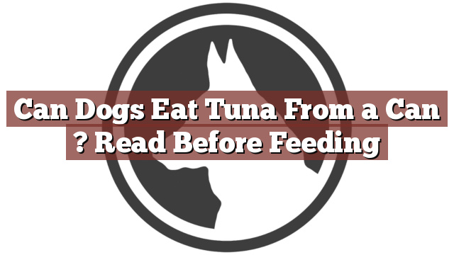 Can Dogs Eat Tuna From a Can ? Read Before Feeding