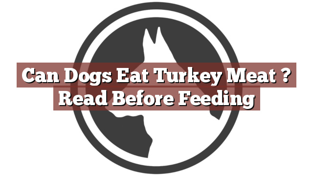 Can Dogs Eat Turkey Meat ? Read Before Feeding