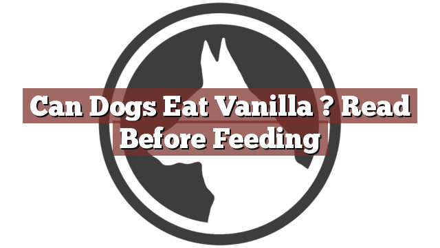 Can Dogs Eat Vanilla ? Read Before Feeding