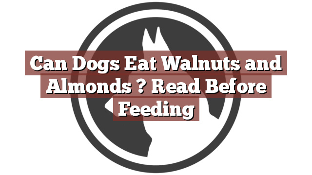 Can Dogs Eat Walnuts and Almonds ? Read Before Feeding
