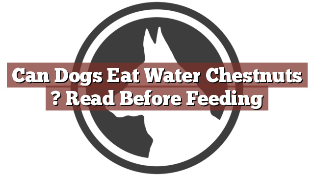 Can Dogs Eat Water Chestnuts ? Read Before Feeding