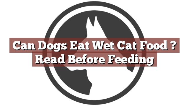 Can Dogs Eat Wet Cat Food ? Read Before Feeding