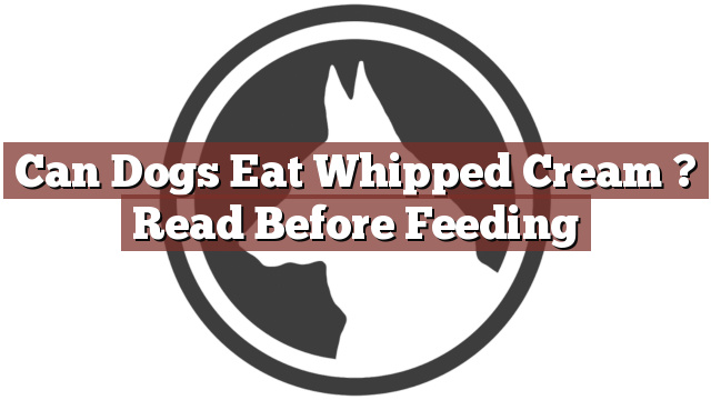 Can Dogs Eat Whipped Cream ? Read Before Feeding