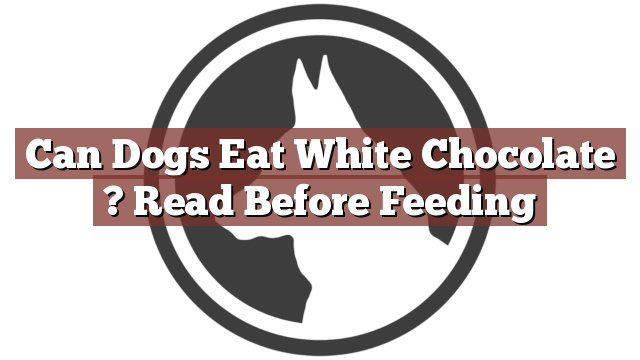 Can Dogs Eat White Chocolate ? Read Before Feeding