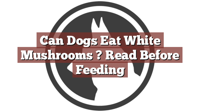 Can Dogs Eat White Mushrooms ? Read Before Feeding