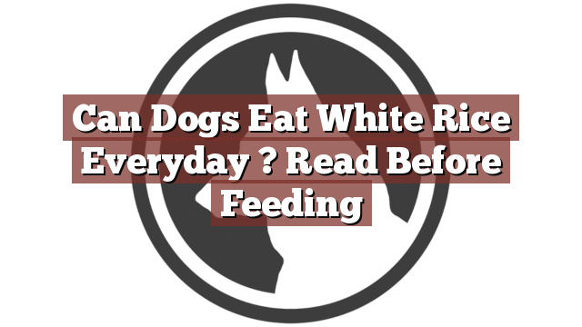Can Dogs Eat White Rice Everyday ? Read Before Feeding