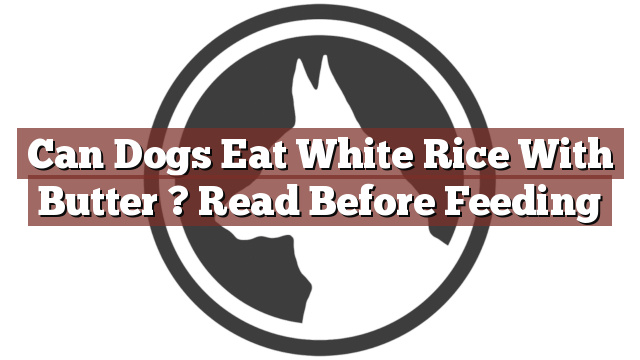 Can Dogs Eat White Rice With Butter ? Read Before Feeding