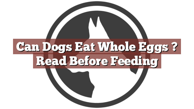 Can Dogs Eat Whole Eggs ? Read Before Feeding